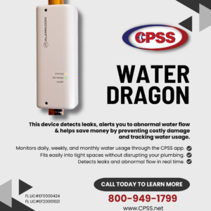 water dragon water heater