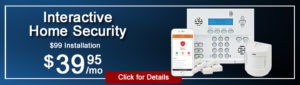 Crime Prevention Security Systems
