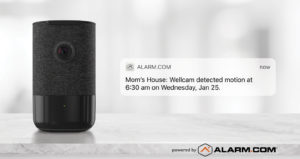 Wellcam from Crime Prevention Security Systems