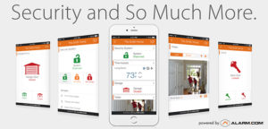 Crime Prevention Security Systems