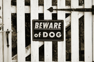 Crime Prevention Security Systems
