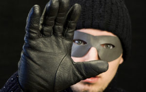 Crime Prevention Security Systems