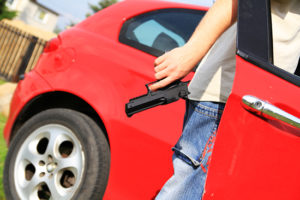 Crime Prevention Security Systems